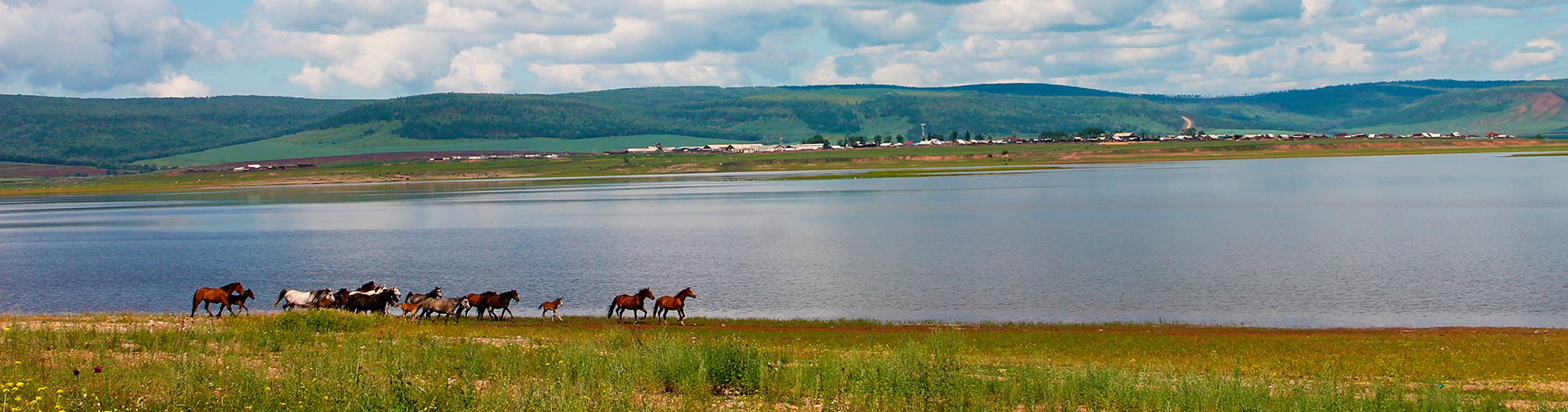 Россия авиабилеты из Братска