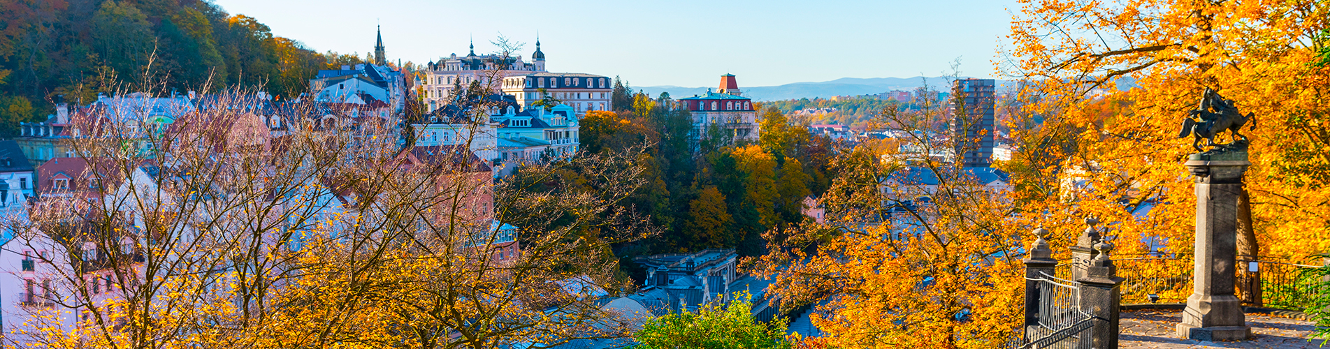 Россия авиабилеты из Карловы-Вары