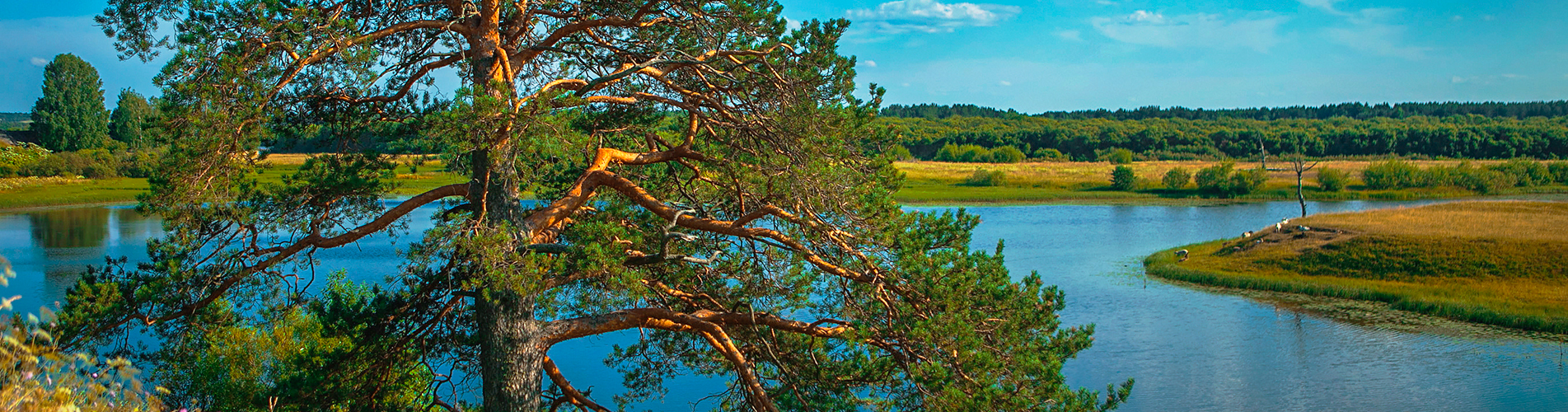 Россия авиабилеты из Ухты