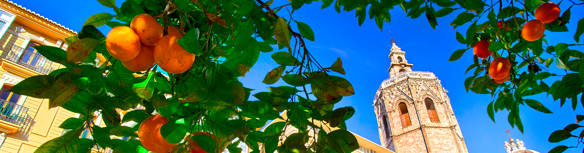 Россия авиабилеты из Валенсии